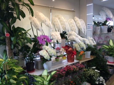 「富田生花店」　（東京都西東京市）の花屋店舗写真1