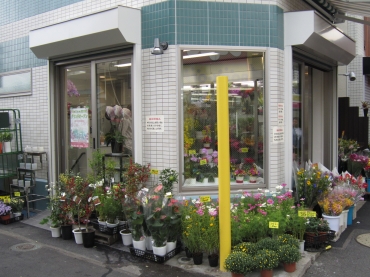 「富田生花店」　（東京都西東京市）の花屋店舗写真2